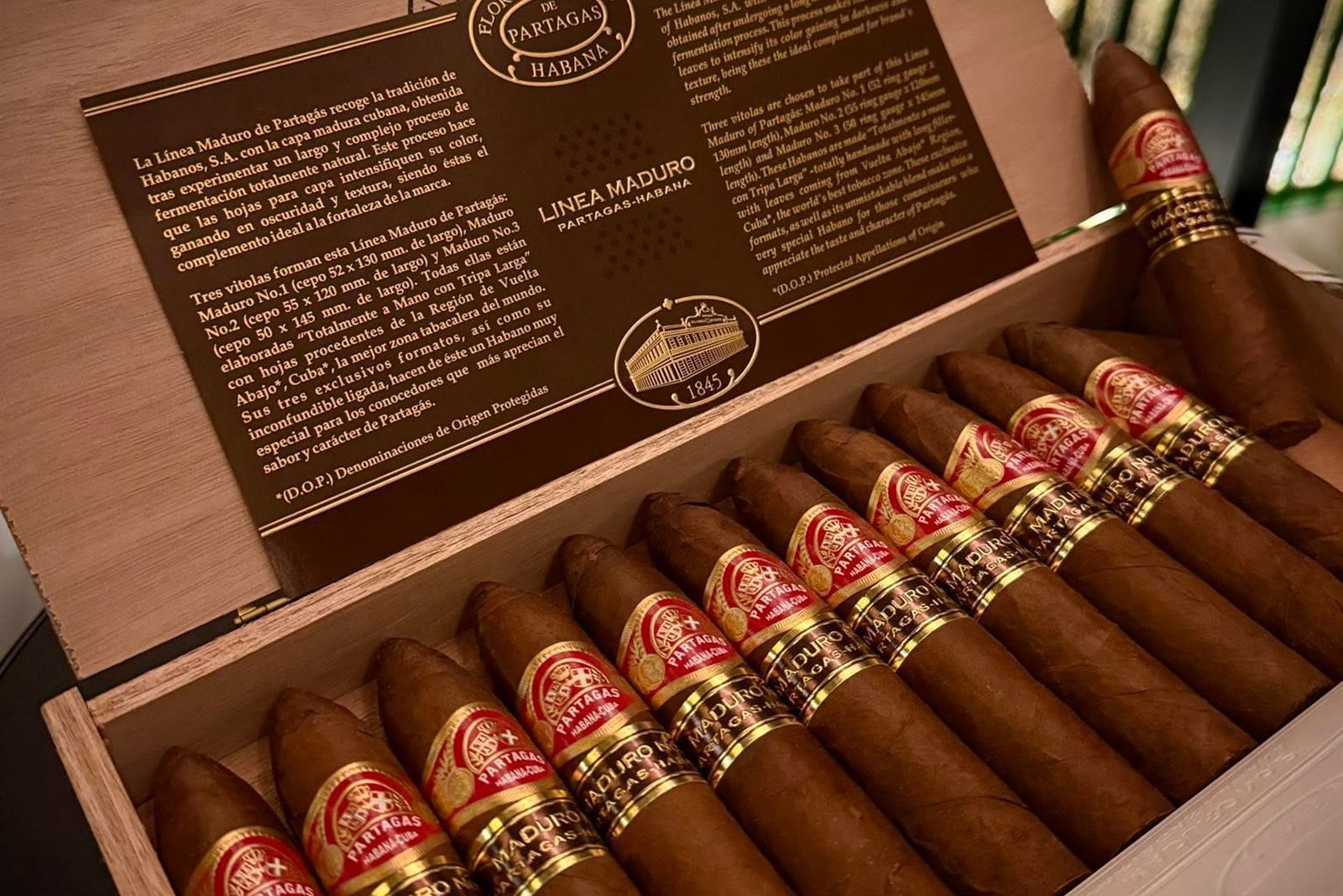 Partagás Maduro Night
